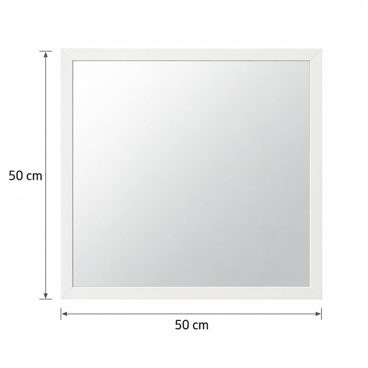 Grand miroir mural rectangulaire